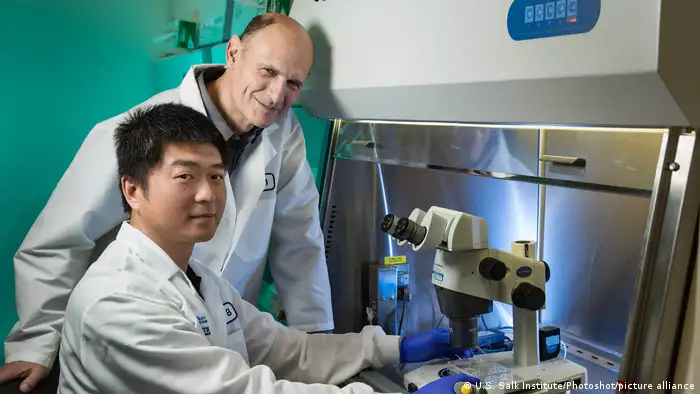 USA Forschung nach Chimären-Embryonen | Jun Wu und Juan Carlos Izpisua Belmonte