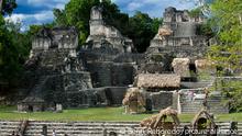 Tikal ruins (UNESCO site), Guatemala. Central acropolis. Pre-Columbian Maya Site at Tikal, El Peten National Park, Guatemala, a UNESCO World Heritage Site.