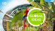 Global Ideas Teaserbild für Webspecial Global Ideas Teaserbild für Webspecial
