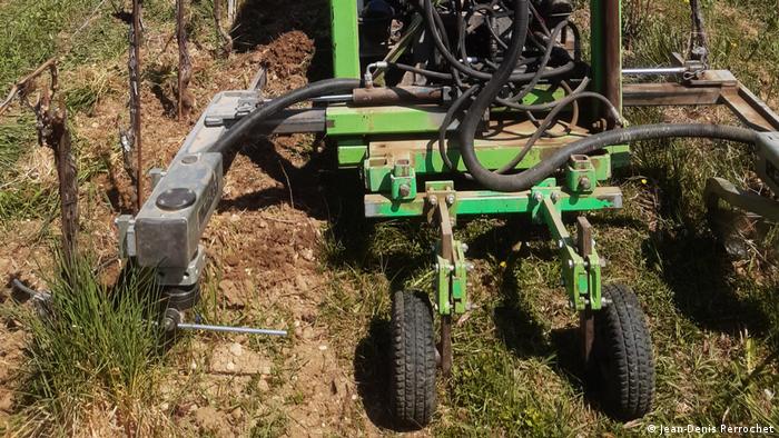 A machine removes weeds in vineyards
