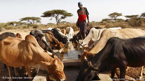 Brot für die Welt: Kenia