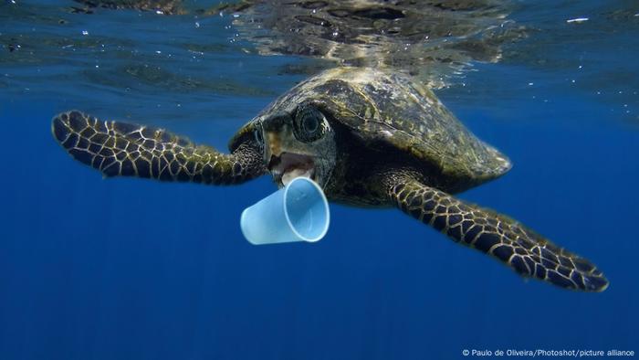 Ozean l Plastik, Vermüllung der Meere