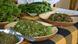 Local dishes prepared with wild edible plants, namely Bat Pyllon and Jali Local dishes prepared with wild edible plants, namely Bat Pyllon and Jali