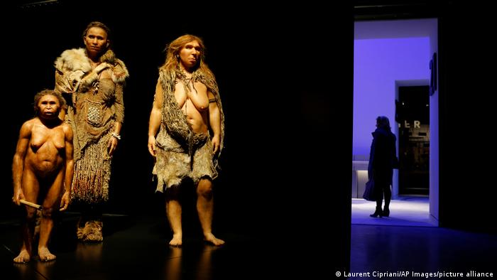 نماذج اصطناعية لسلالة بشرية مثل الهومو سابين والنياندرتالر في إحدى صالات العرض في متحف موزي دس كونفلوينس في ليون الفرنسية (18/12/2014)