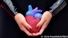 الصوم المتقطع يساعد على استعادة القلب عافيته بعد النوبة القلبية؟