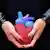 Foto menunjukkan sebuah jantung palsu yang digenggam seorang perempuan.