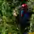 A masked farmer holds cannabis in a field near in Morocco's northern Rif region