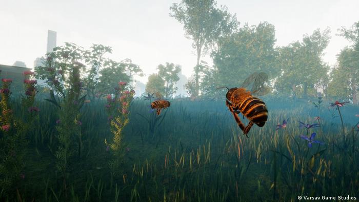 A still from the game Bee Simulator showing computer generated bees in a field