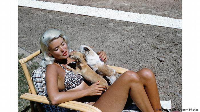 Η Τζέιν Μάνσφιλντ ποζάρει για την Ίνγκε Μόρατ το 1959 με τους δυο σκύλους της