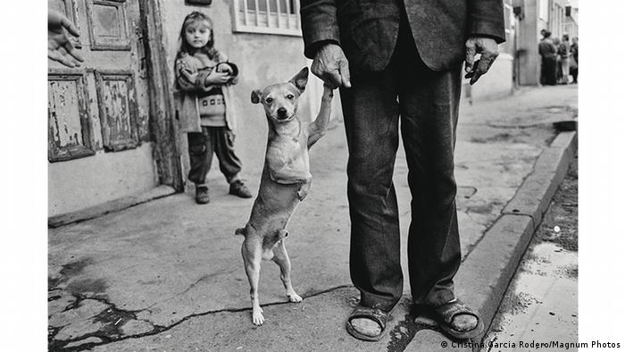 Άνθρωπος με σκύλο, Τιφλίδα, Γεωργία