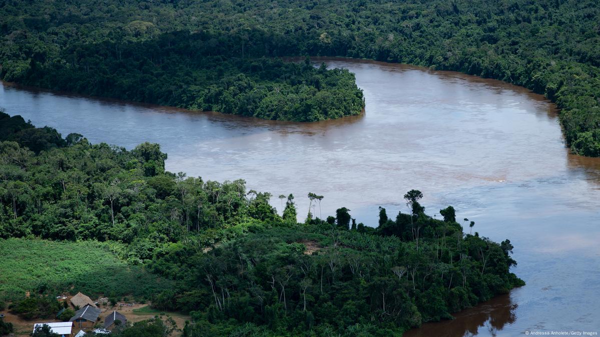 Sustentabilidade com o Google: ajudando a preservar a Amazônia e a