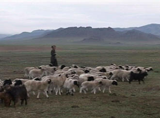 mongolei 3.jpg