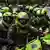 Foto simbólica de policías en motocicletas durante las protestas en Colombia