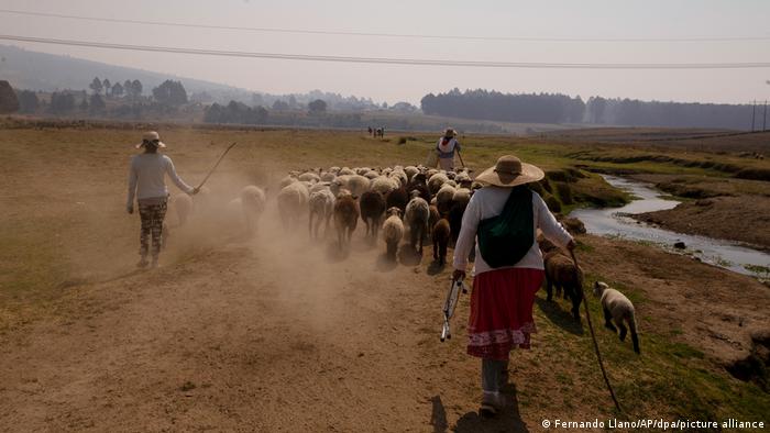Hirten gehen auf einer staubigen Weide hinter Schafen entlang eines fast ausgetrockneten Flusses