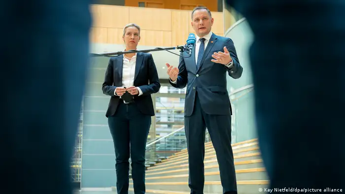 Alice Weidel y Tino Chrupalla.