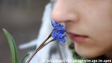 blue spring flowers blur girl smells blue spring flowers closeup PUBLICATIONxINxGERxSUIxAUTxONLY Copyright: xsimplyx 891521