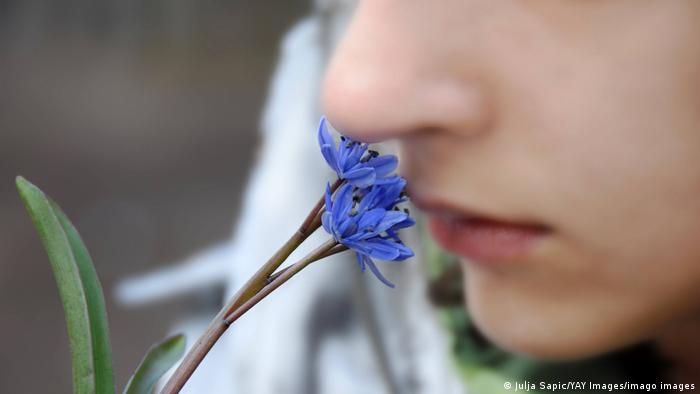 Symbolic picture - girl smells a blue flower