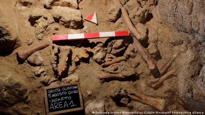 Ossos fossilizados em sítio arqueológico na Itália