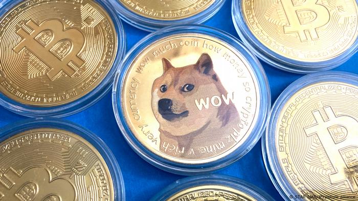 Dogecoin Lelucon Paling Berharga Di Dunia Dunia Informasi Terkini Dari Berbagai Penjuru Dunia Dw 12 05 2021