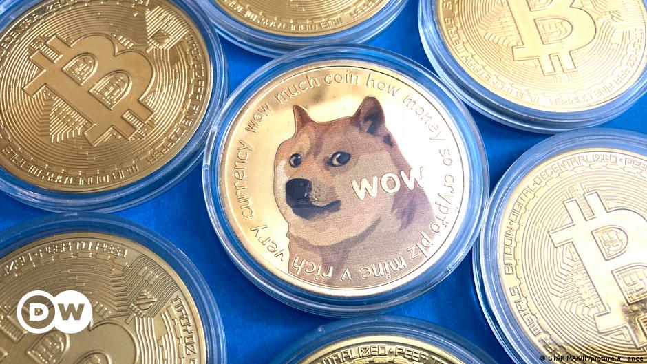 dog coins to bitcoins wiki