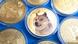 Kabosu como emblema de la criptodivisa dogecoin Kabosu como emblema de la criptodivisa dogecoin