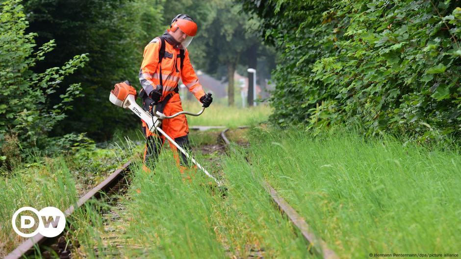 Güterbahn: Firmen am Zug