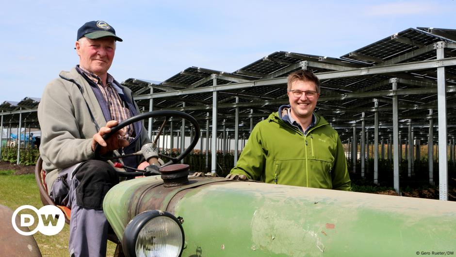 Landwirte ernten mit Solarstrom doppelt