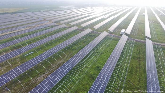 Sprawling greenhouses equipped with solar panels in Zhenghe, China