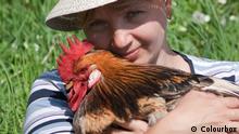 Symbolbild Huhn Nähe Kuss USA Verbot Salmonellen 