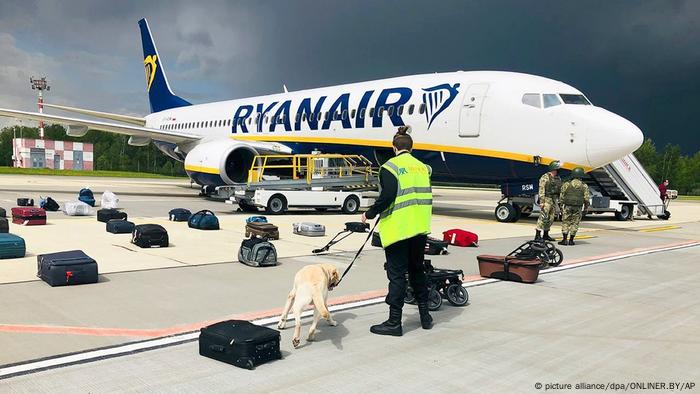 Cão farejador checa malas dispostas no chão ao lado de uma aeronave da Ryanair