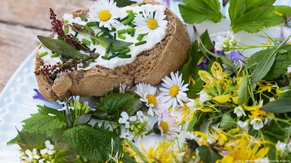 Диви билки кои можат да се користат во исхраната  
