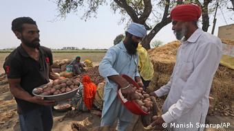 Archivbild I Indien I Protest von Bauern und Farmern