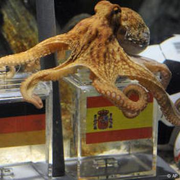 Paul the 'psychic' octopus wins again in World Cup final