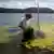 Morador retira algas do rio São Francisco em local onde há captação de água para consumo, em Pão de Açúcar, Alagoas