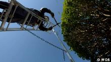 ++++Nur zur abgesprochenen Berichterstattung++++
Japan / Senioren / WDR
Mann beim Baum schneiden