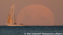 A yacht sails past as the moon rises in Sydney Wednesday, May 26, 2021. (AP Photo/Mark Baker)