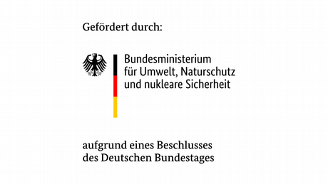 BMU IKI Logo deutsch