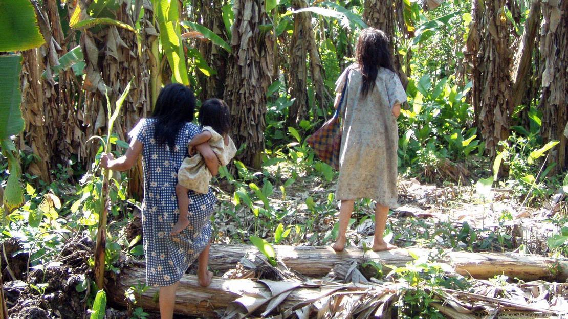 Los investigadores descubrieron que los tsimané de la Amazonía boliviana, a pesar de que el 66 % presentaba al menos una infección parasitaria intestinal, no mostraron aumento de inflamación relacionada con la edad. Los investigadores descubrieron que los tsimané de la Amazonía boliviana, a pesar de que el 66 % presentaba al menos una infección parasitaria intestinal, no mostraron aumento de inflamación relacionada con la edad.