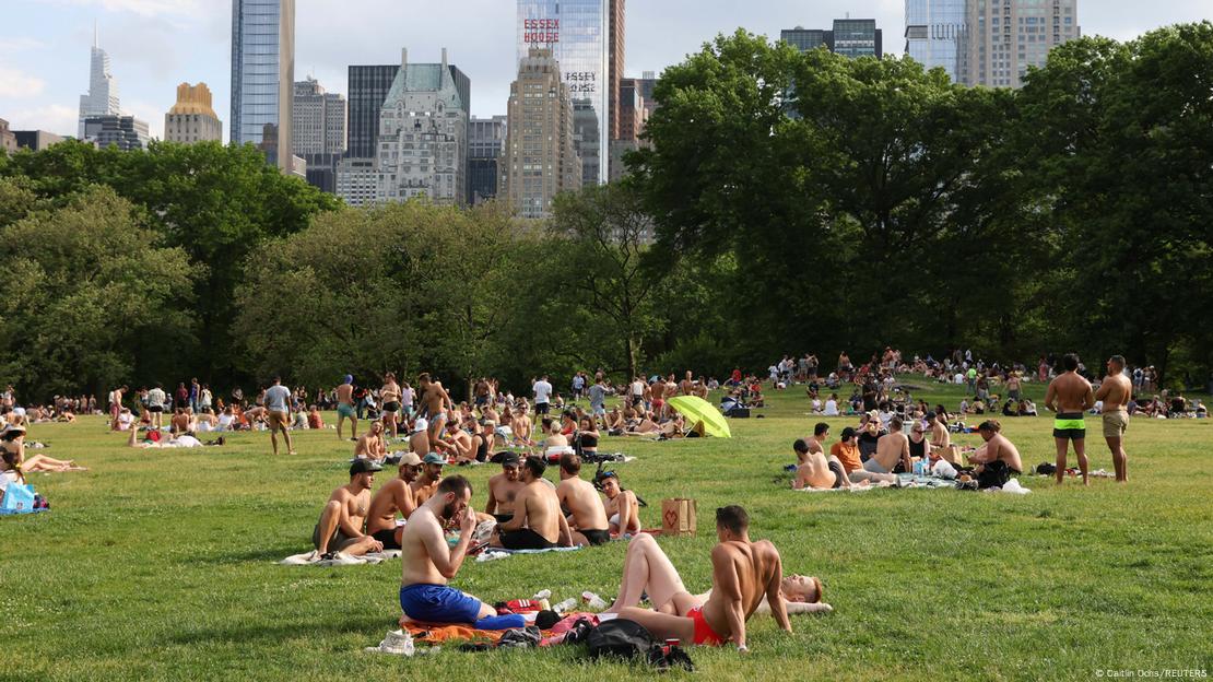 A single bottle of beer at the park probably won't hurt you, most research concludes.