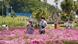 Japan | Coronavirus | Tateyama Family Park Japan | Coronavirus | Tateyama Family Park