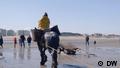 A woman riding a draft horse on the beach