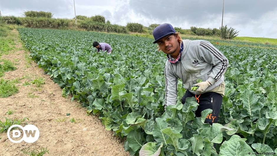 Asiatische Landarbeiter in Portugal