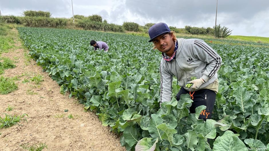 Asiatische Landarbeiter in Portugal