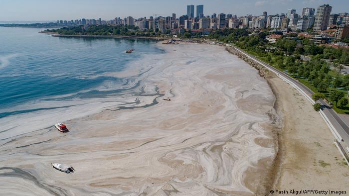 От месеци части от турското Мраморно море са покрити от