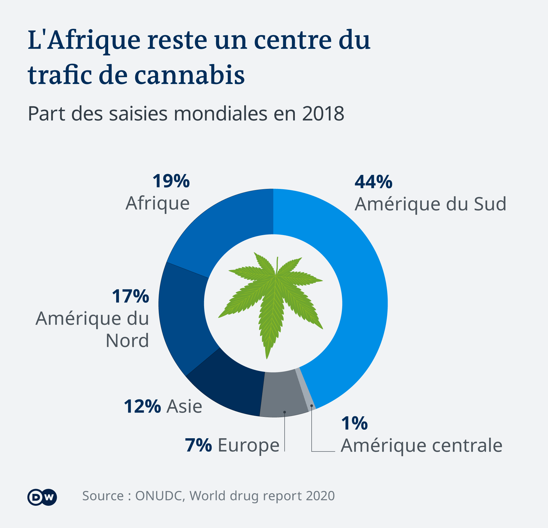 L'Afrique se place à la deuxième place mondiale en matière de saisies de cannabis.