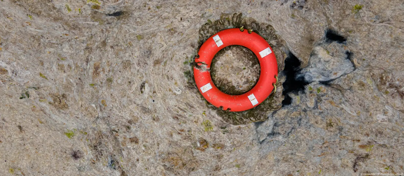 Divers tackle deadly scourge of fishing litter