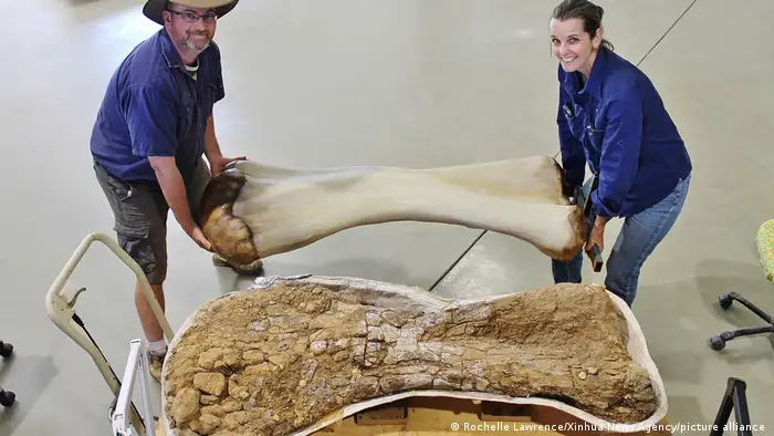 Paleontologists carrying a 3D-reconstructed humerus of the Australotitan cooperensis in Queensland, Australia