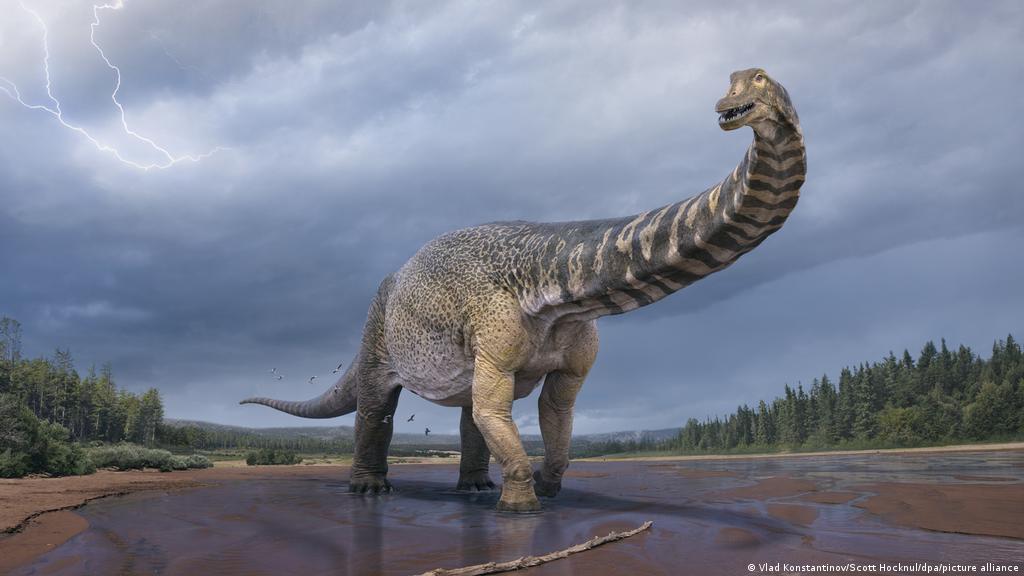 Declive de los dinosaurios estaba en marcha mucho antes de la caída del  asteroide, según estudio | Europa al día | DW 