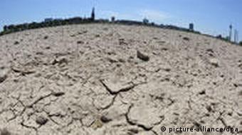 The dried-up Rhine near Duesseldorf in early July