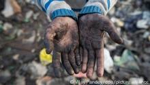 Café o cacao con trabajo forzoso e infantil no entraría más al mercado europeo
